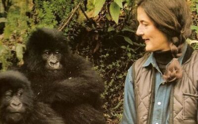 Donne straordinarie: Dian Fossey