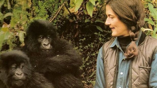 Donne straordinarie: Dian Fossey