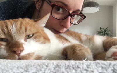 Le diverse fasi dell’amore: Laura e Picciu